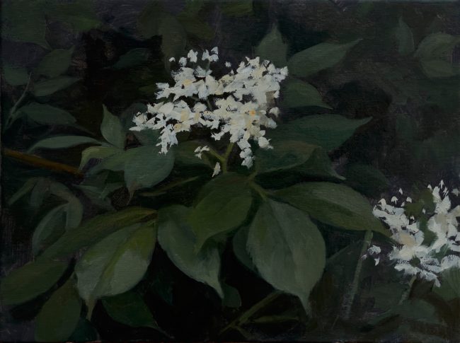 Elder Berries – Oil on Panel, 24x18cm, 2021
