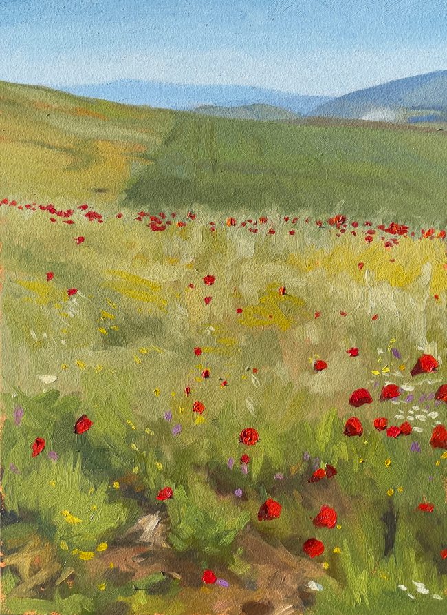 Poppies – Oil on Panel, 18x25cm, 2022
