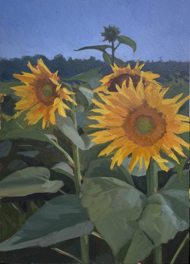 Sonnenblumen – Oil on Panel, 35x25cm, 2023